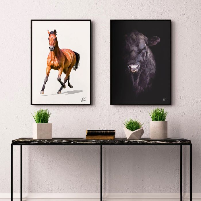 Black Angus Bull