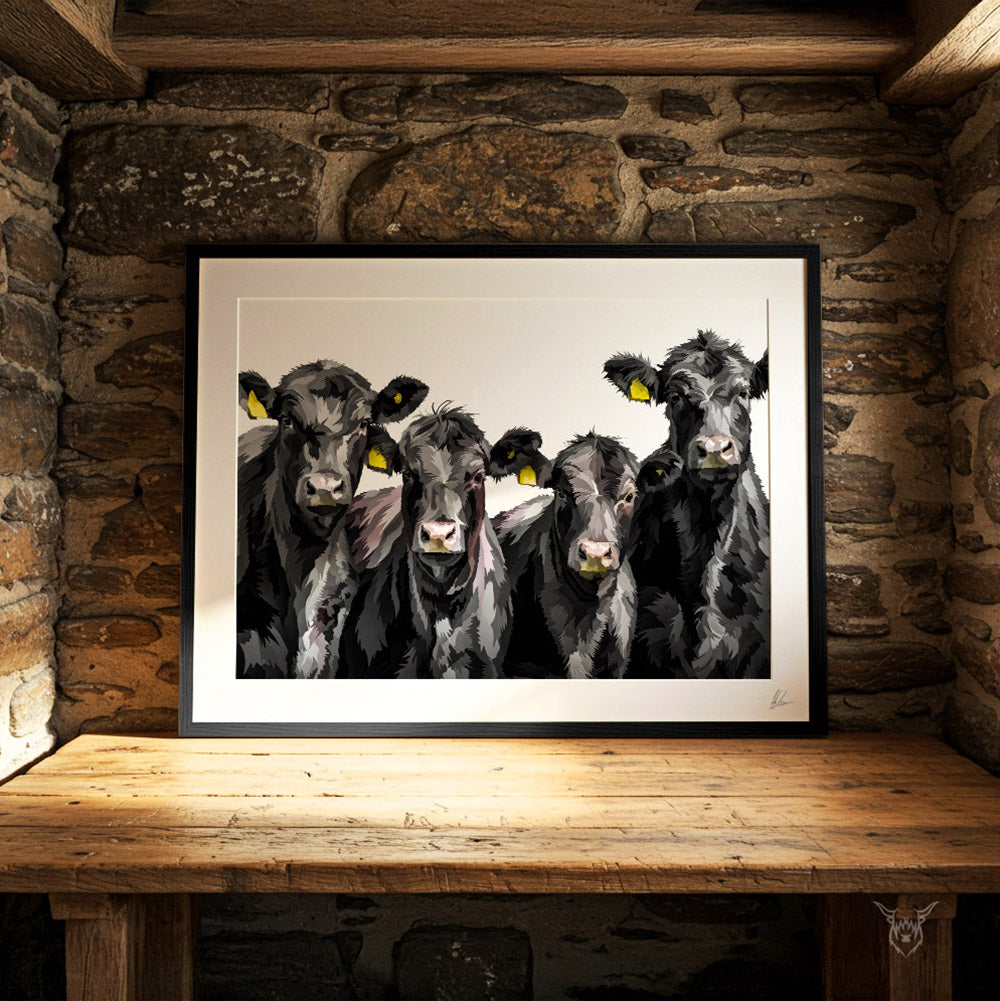 Aberdeen Angus Cattle