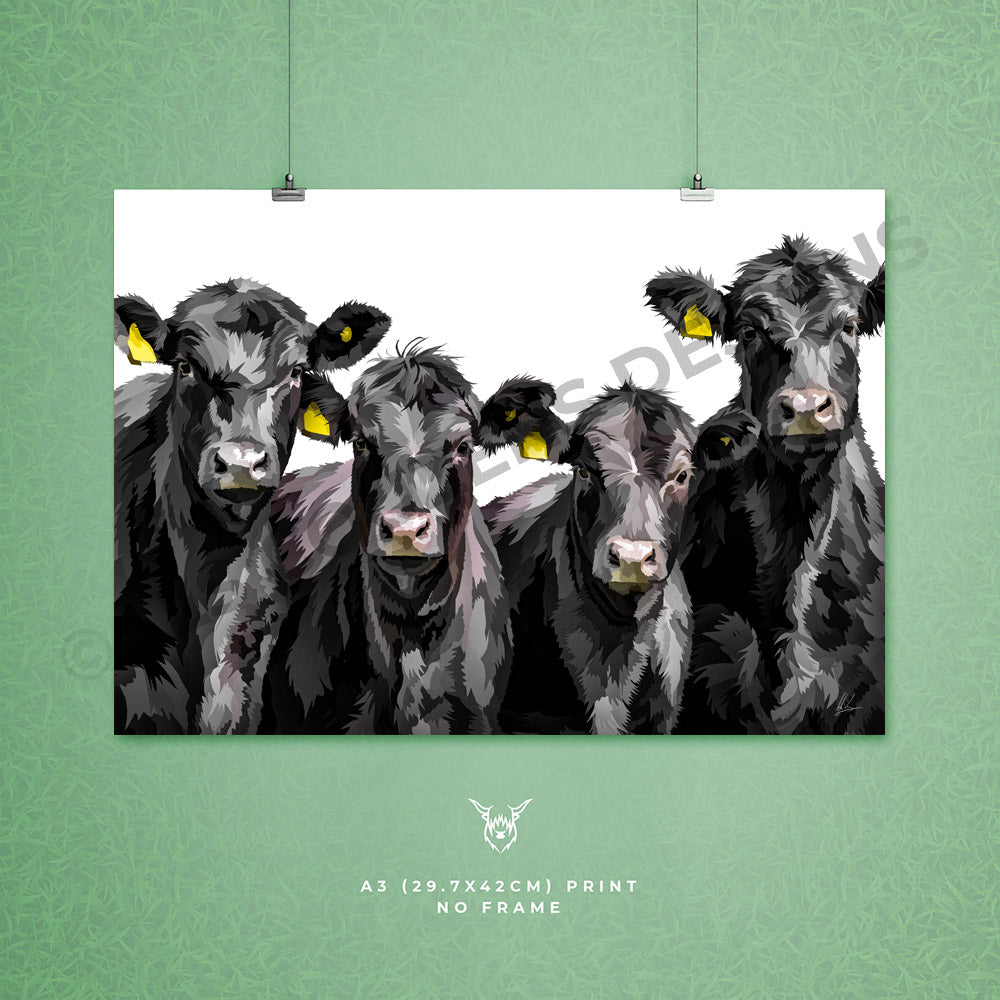 Aberdeen Angus Cattle