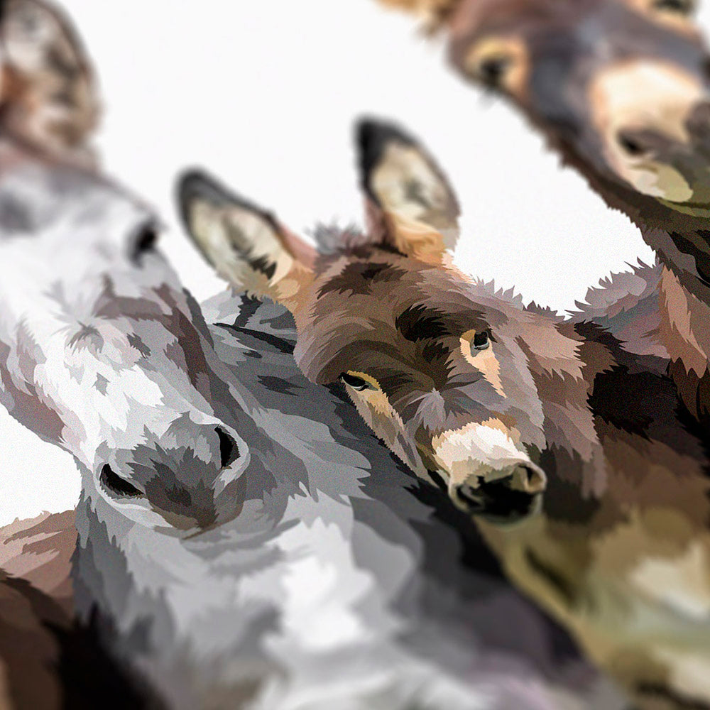 The Donkeys