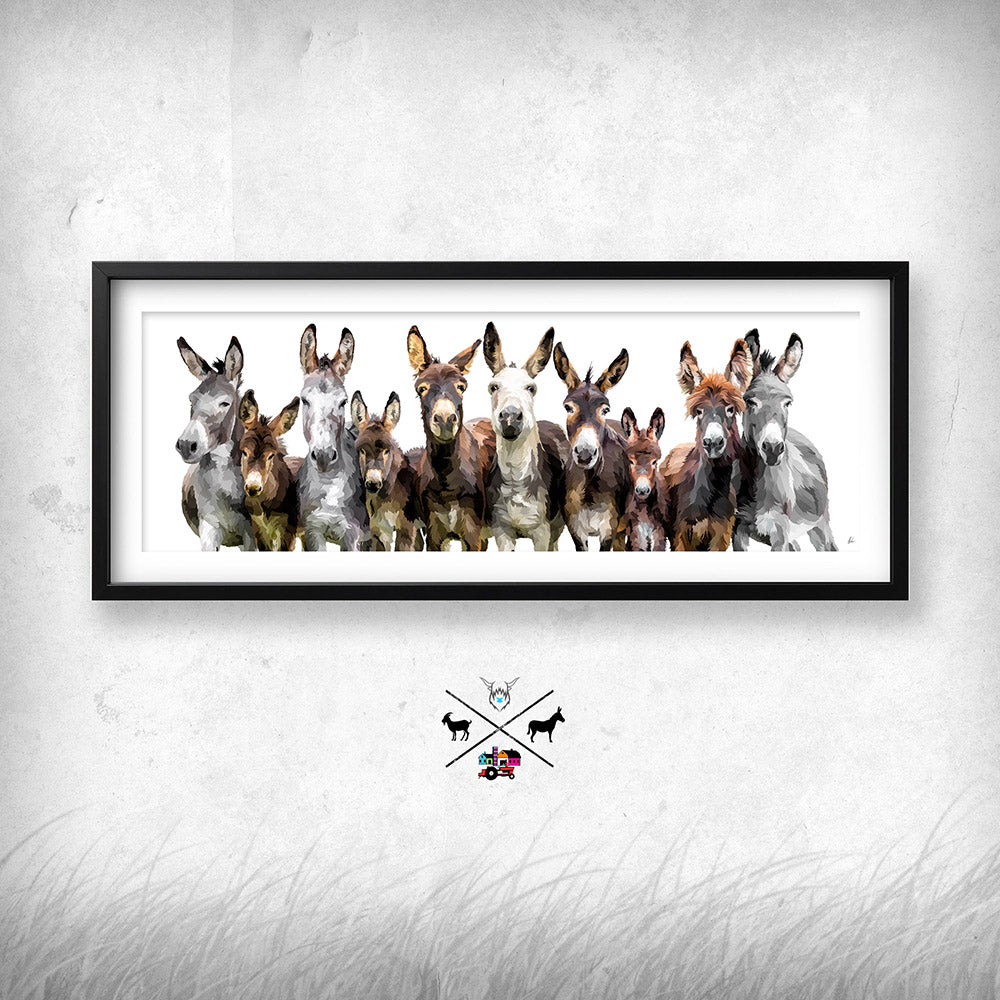 The Donkeys