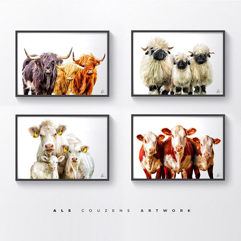 Charolais Cattle & Calf