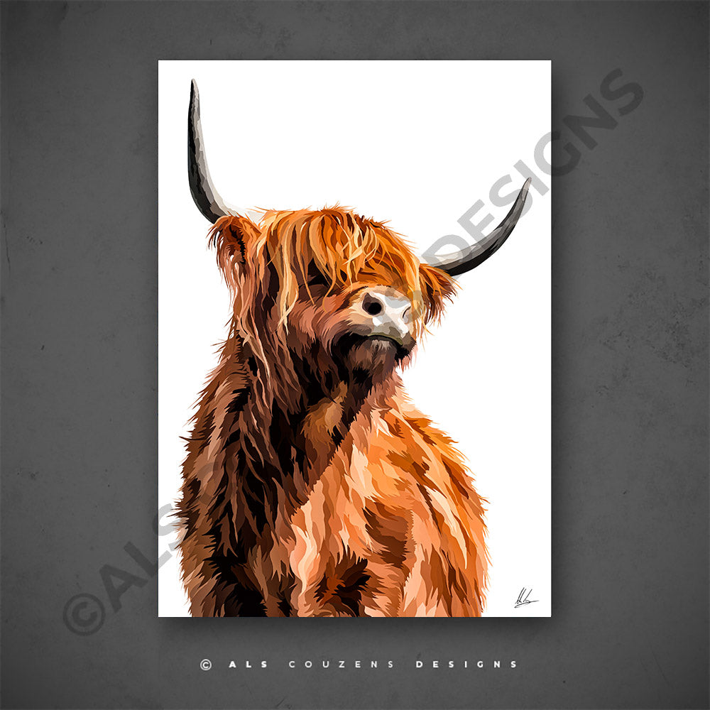 Highland Cow Portrait
