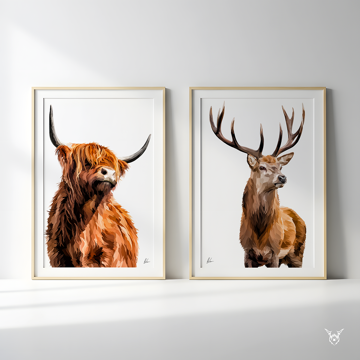 Highland Cow Portrait