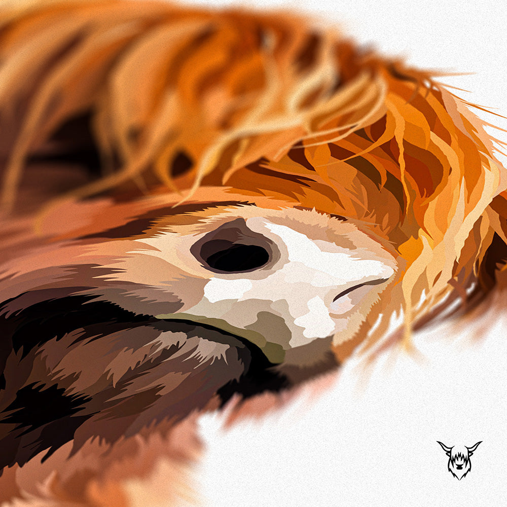Highland Cow Portrait