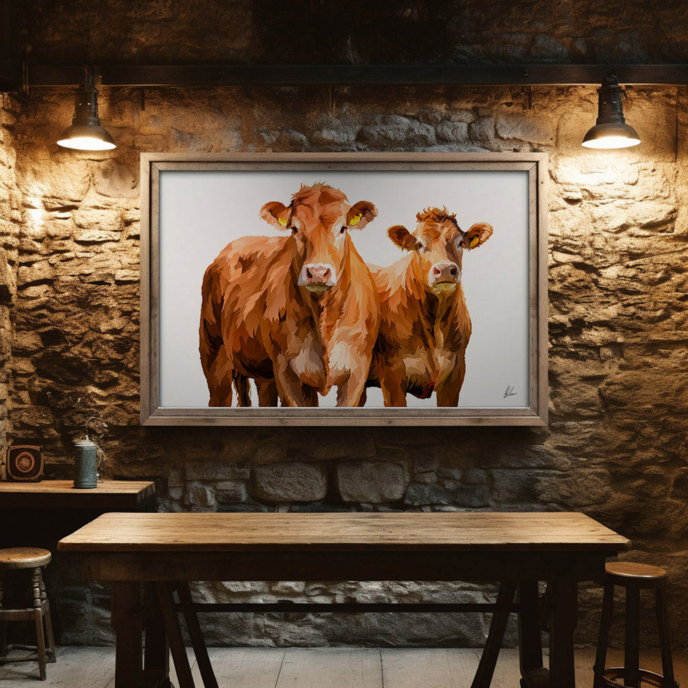 Limousin Cattle
