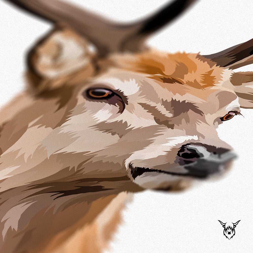 Scottish Red Deer