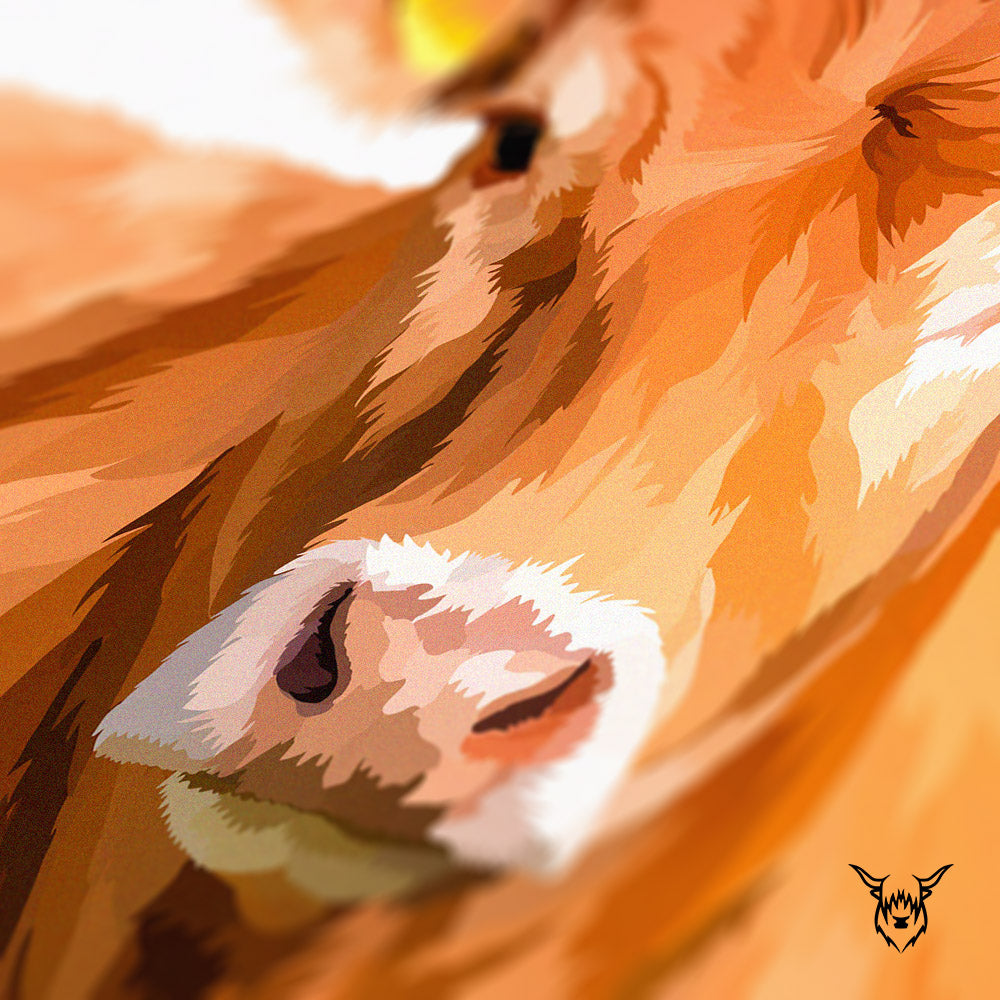 Limousin Cattle