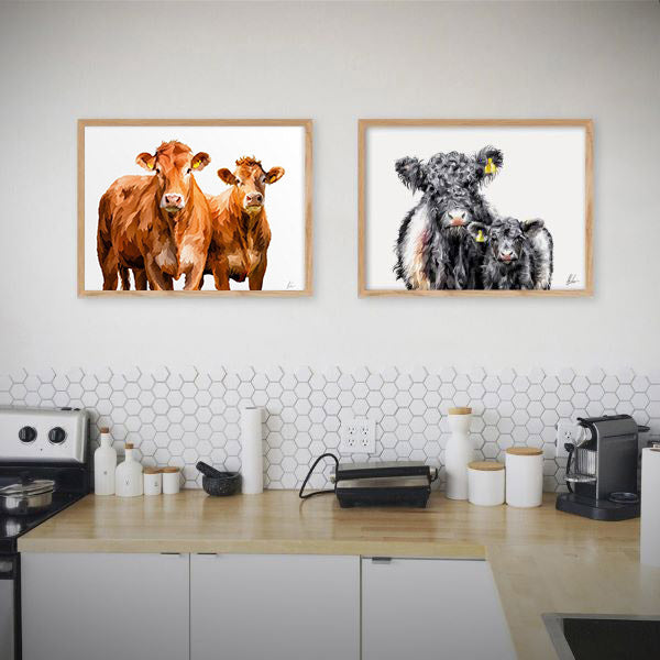 Limousin Cattle