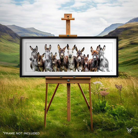 The Donkeys