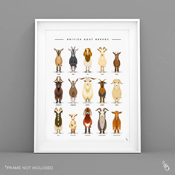 Goat Breeds Print