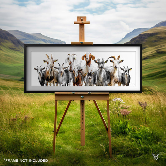 The Dalscone Goats