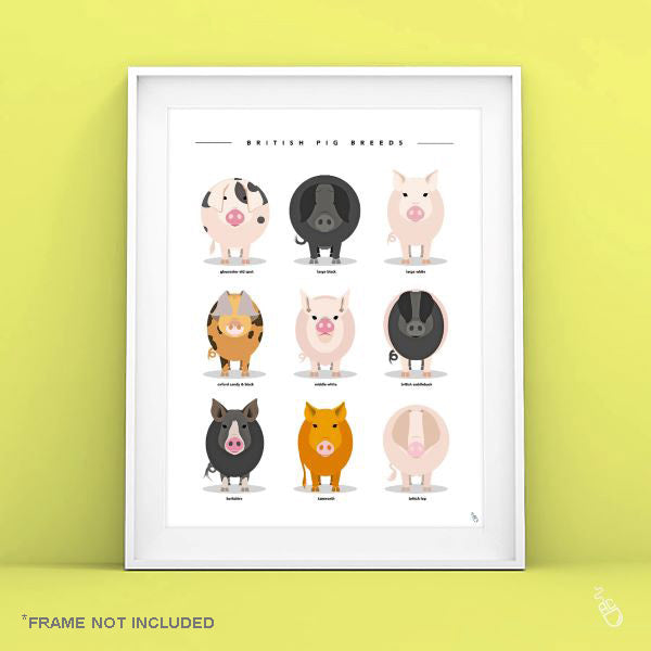 Pig Breeds