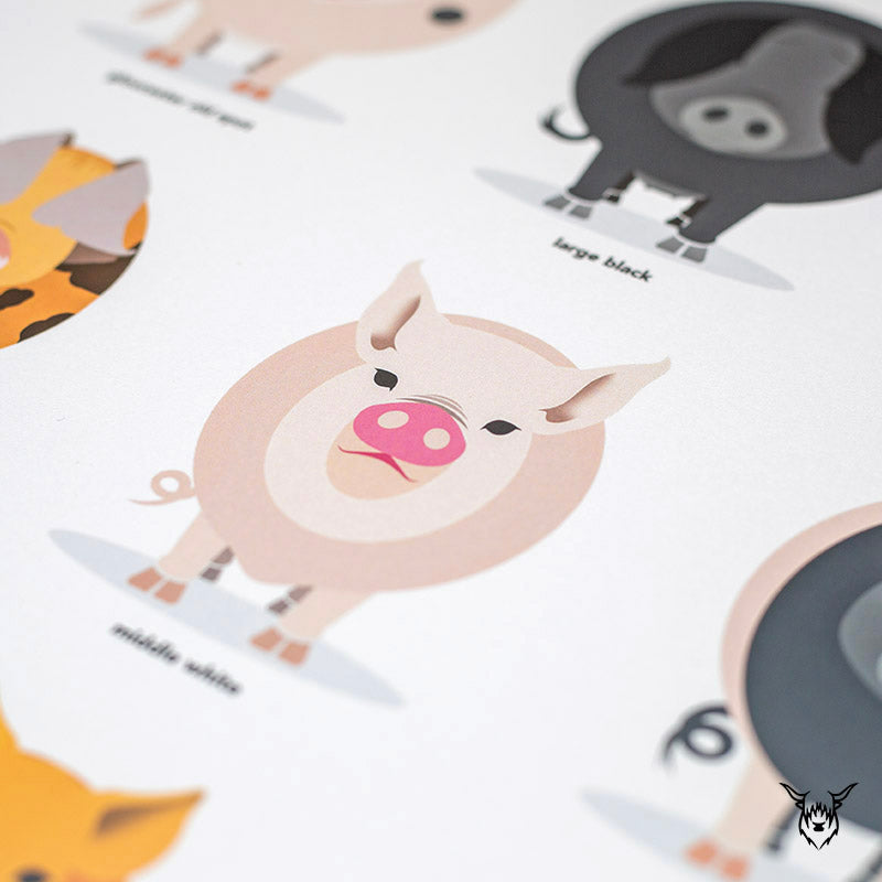 pig poster