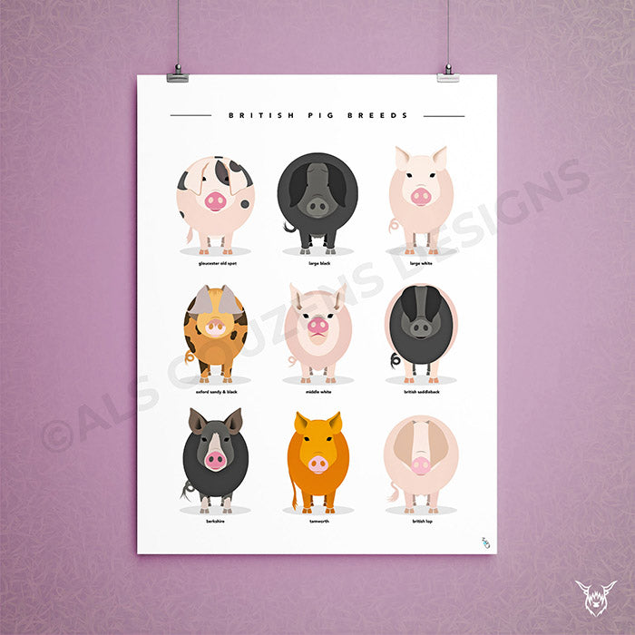 Pig Breeds