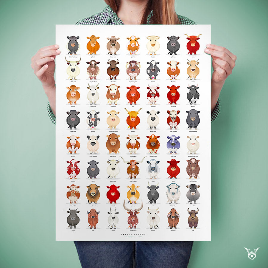 cattle breeds art print