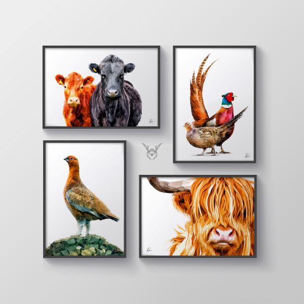 scottish animal art prints