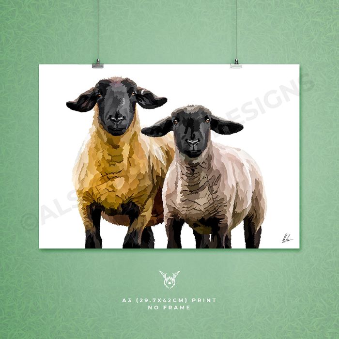 suffolk sheep painting