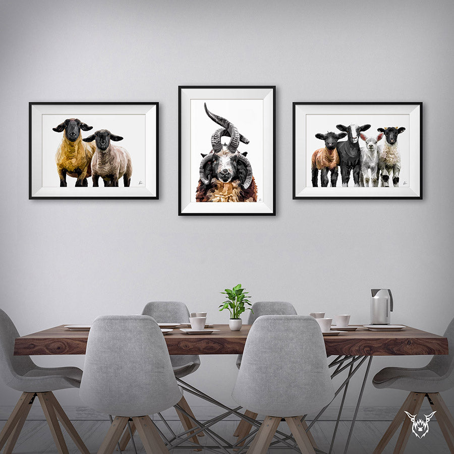 sheep painting