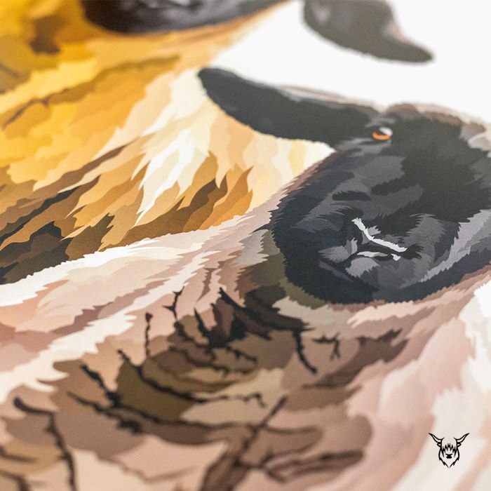 suffolk sheep painting