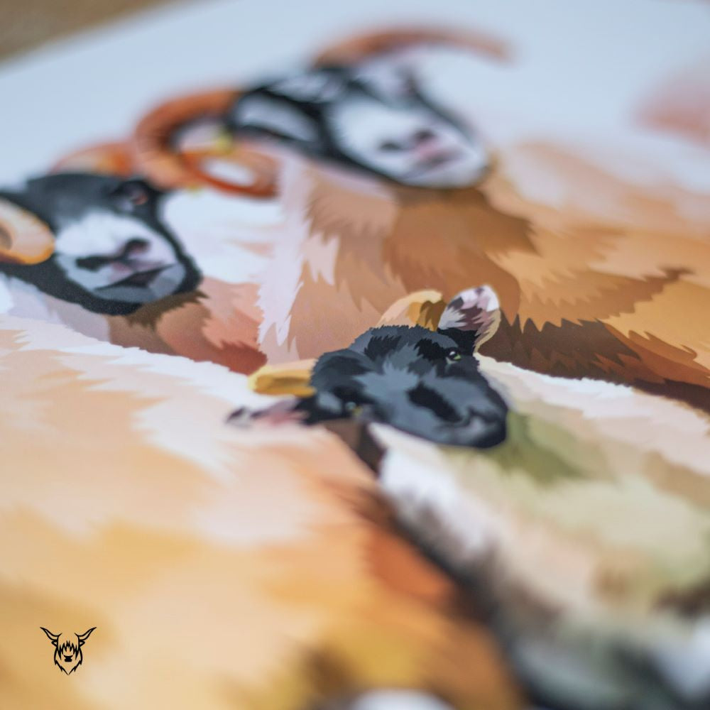 Scottish Blackface Sheep Painting