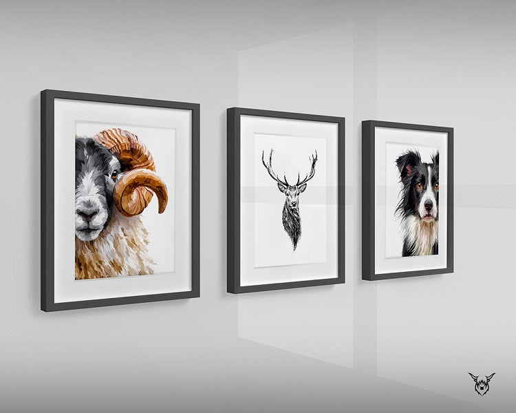 trio of prints sheep dog