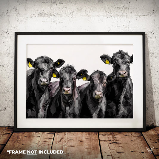 Aberdeen Angus Cattle