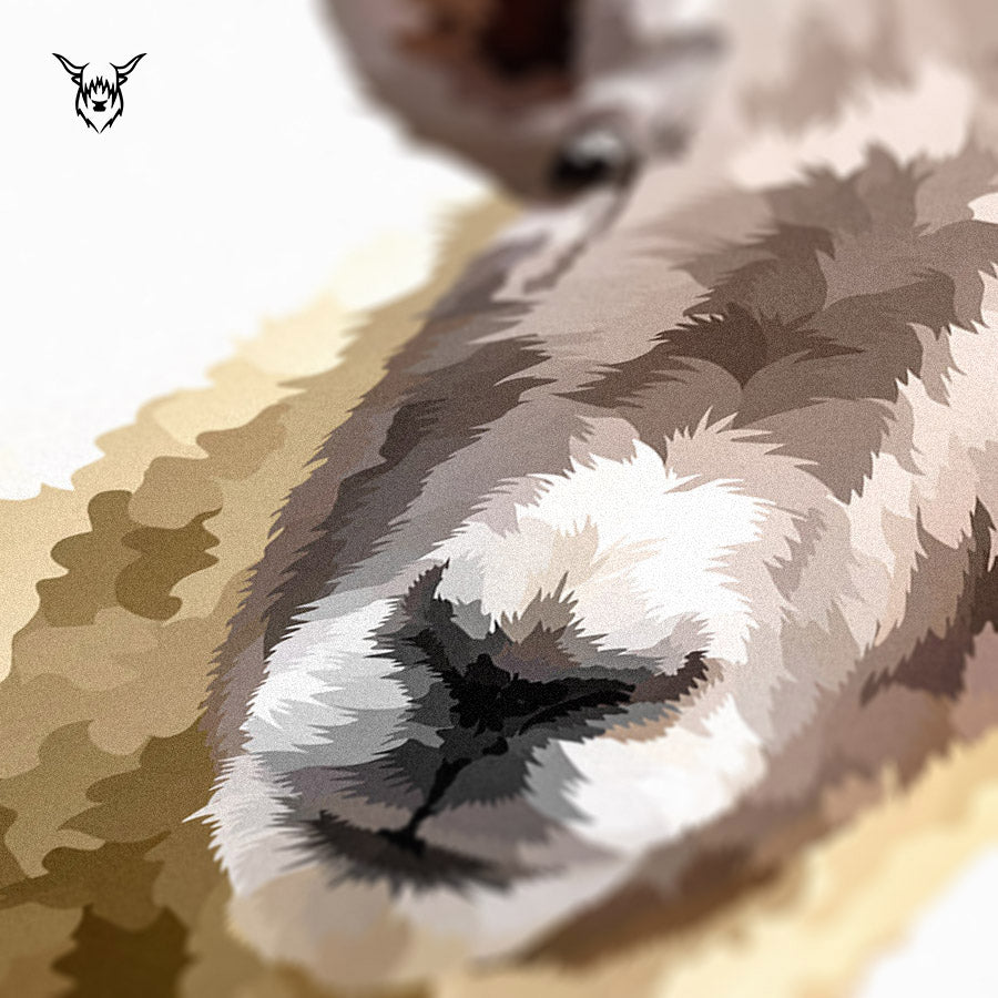 Fiona, Felicia & Fergus