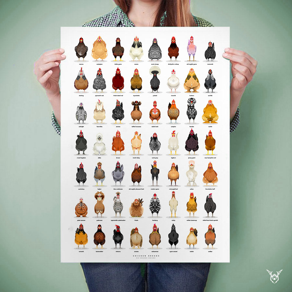 The Ultimate Chicken Breeds Poster