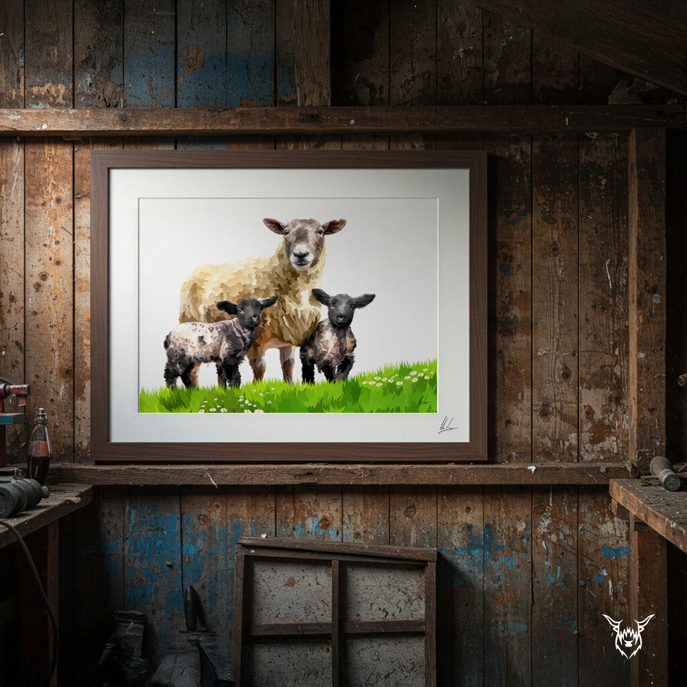 Fiona, Felicia & Fergus