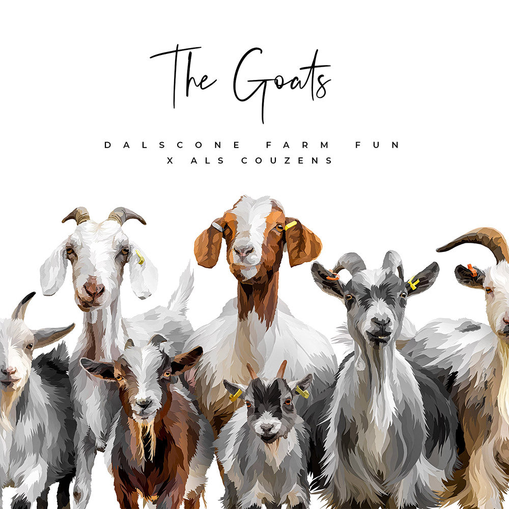 The Dalscone Goats with Frame