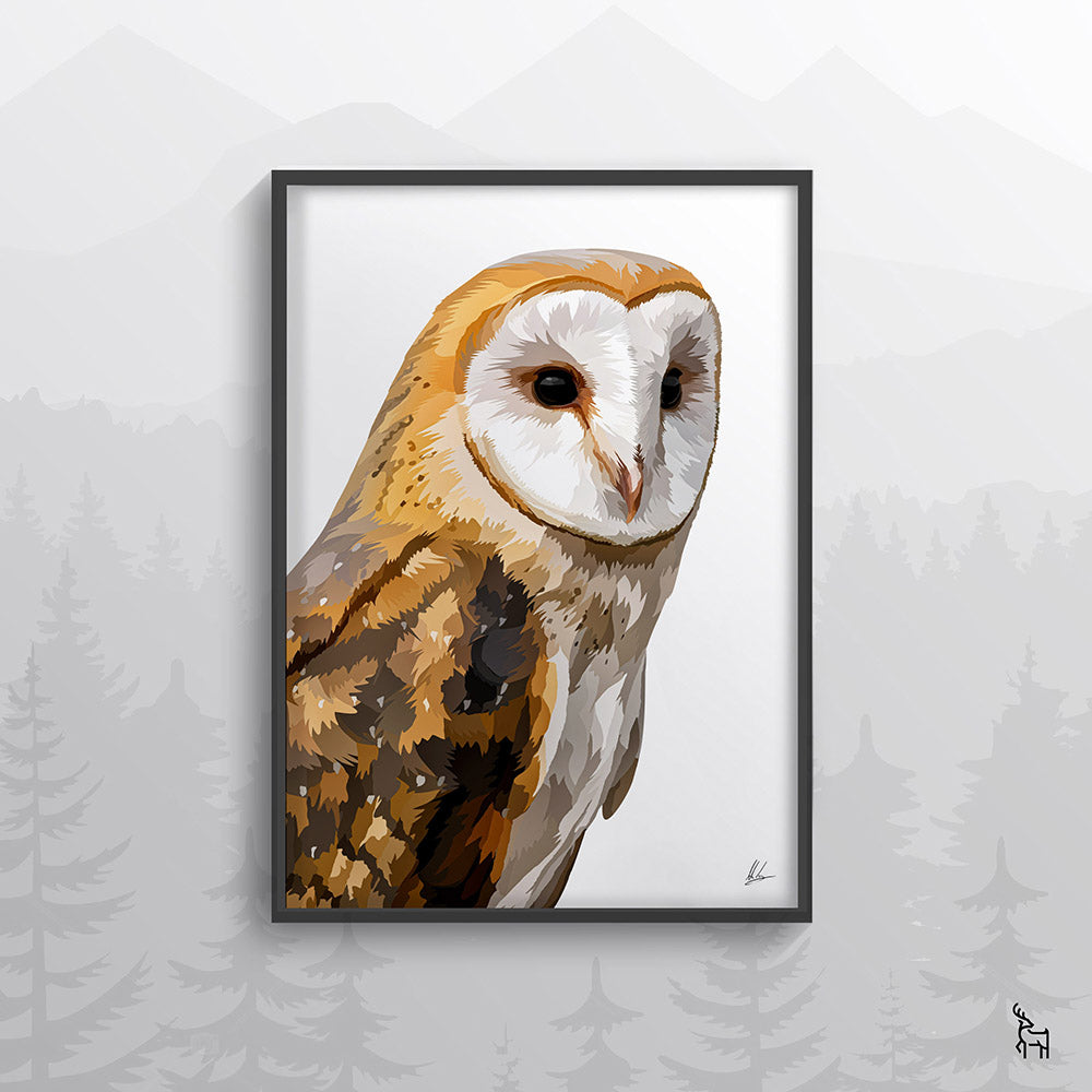 Barn Owl