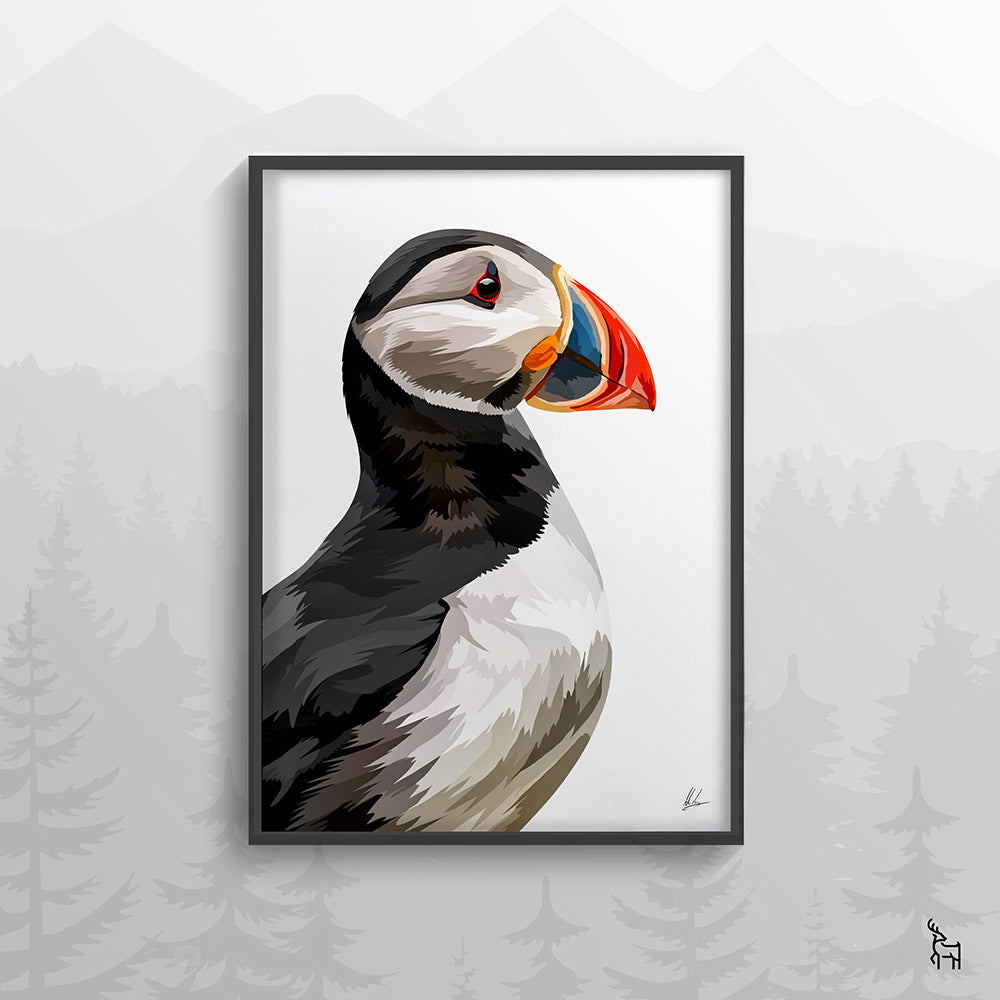 Puffin