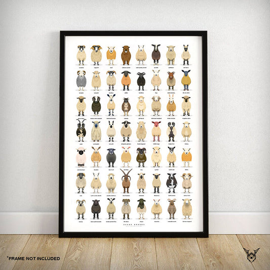The Ultimate Sheep Breeds Poster