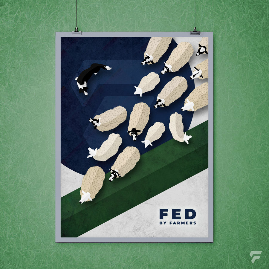 FED Print - Sheep