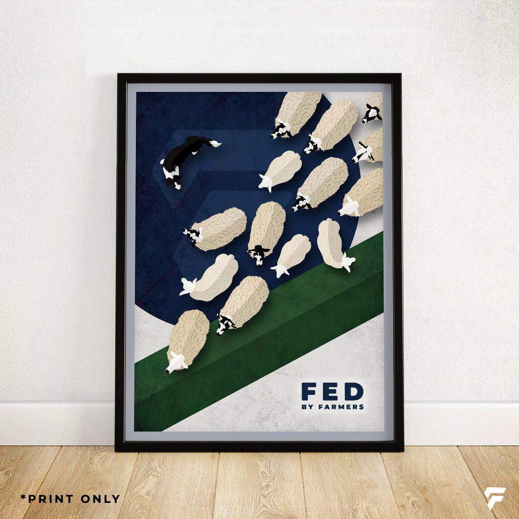 FED Print - Sheep