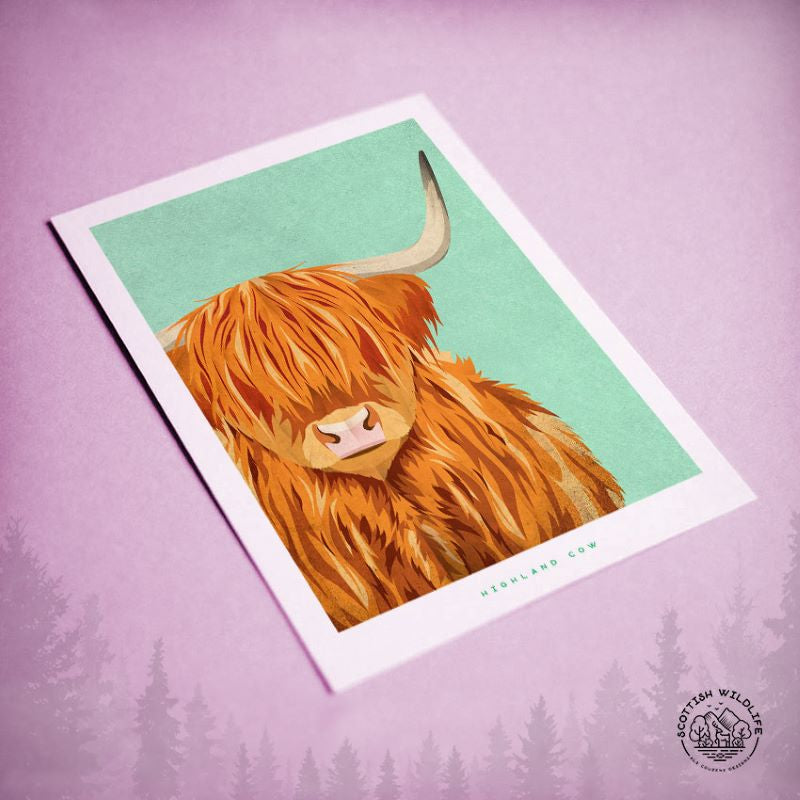 highland cow greeting card