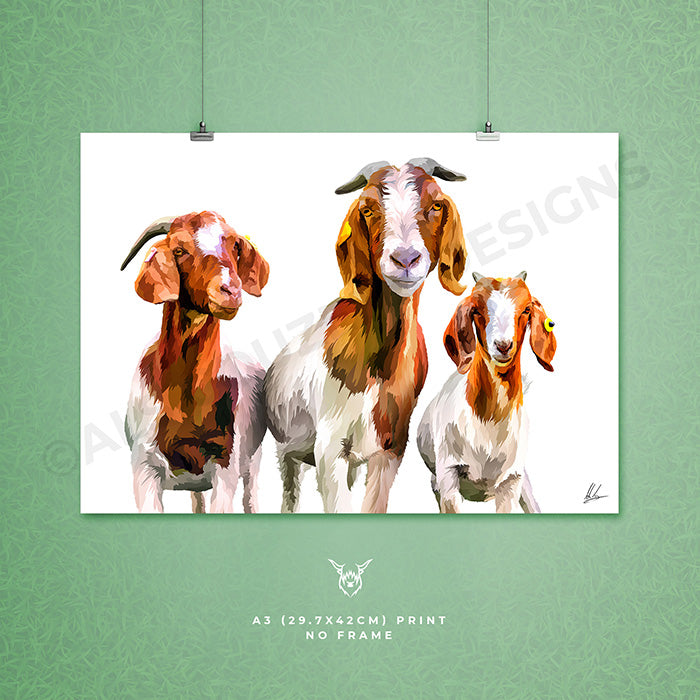 Boer Goats trio