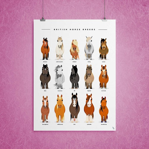 Horse breeds art print gift