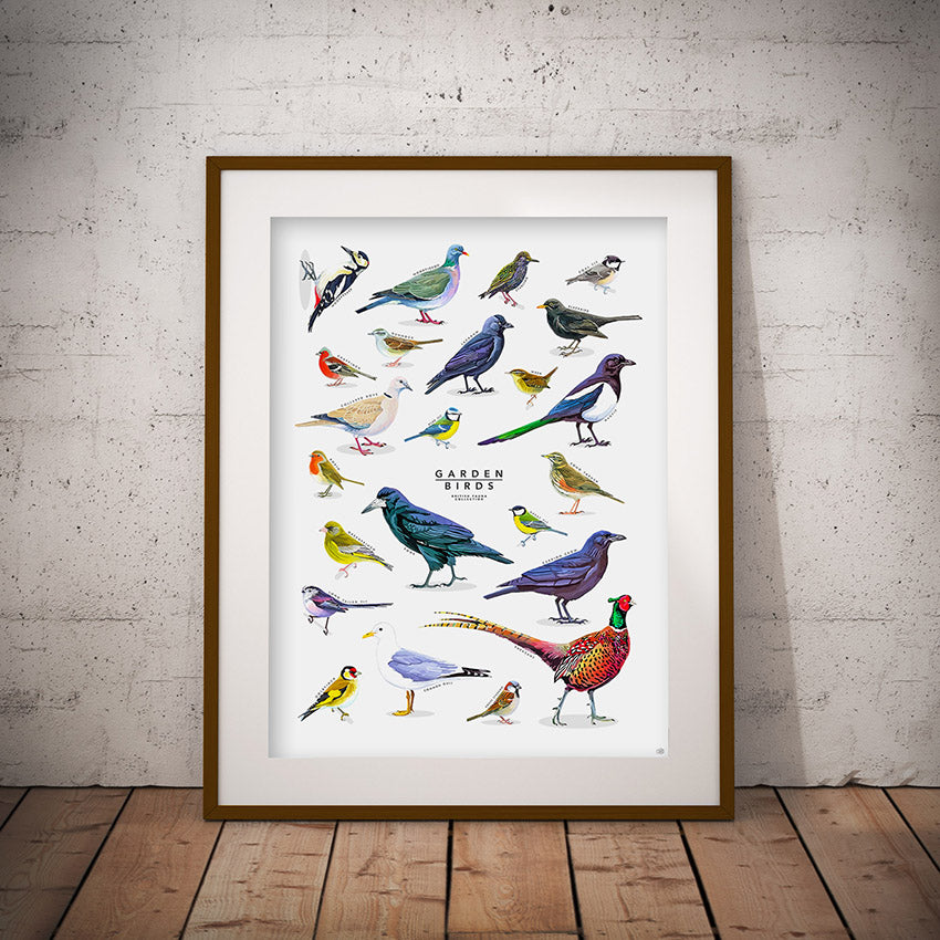British Birds print