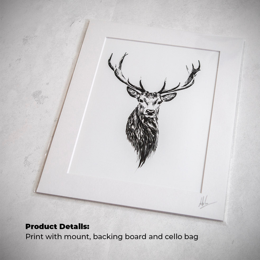 scottish stag art print