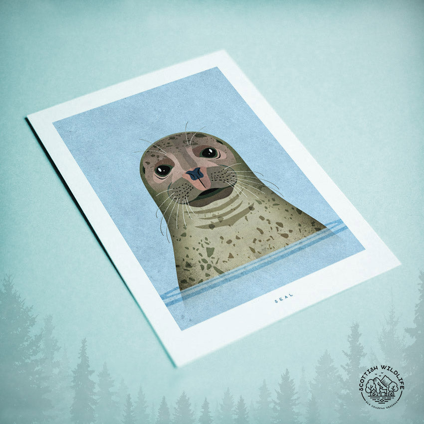 Harbour seal birthday card