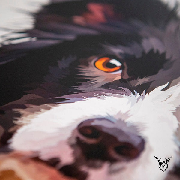 border collie painting